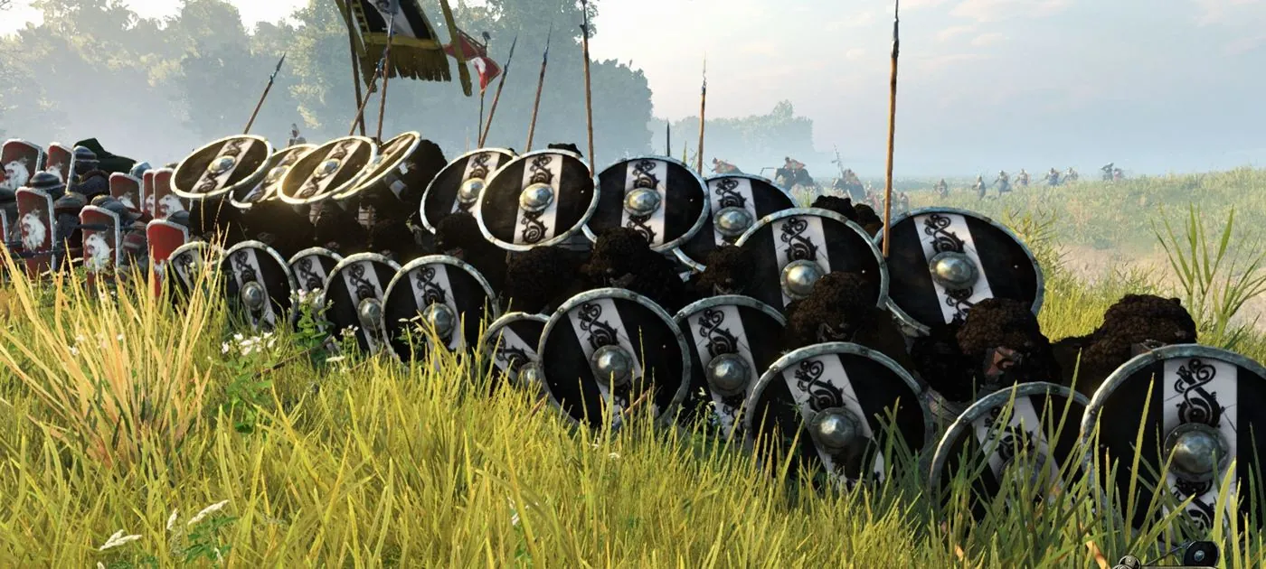 Shieldwall in golden grass